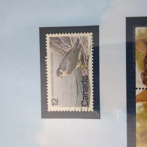 Peregrine Falcon Stamp Collection - Picture 3 of 6